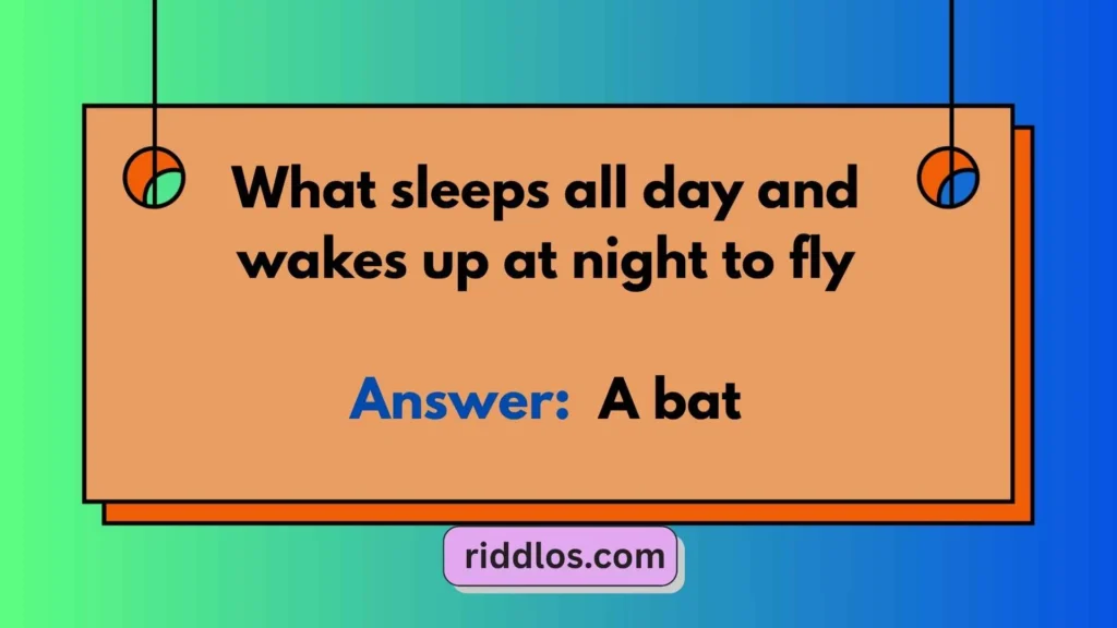 Bedtime Riddles with Answers