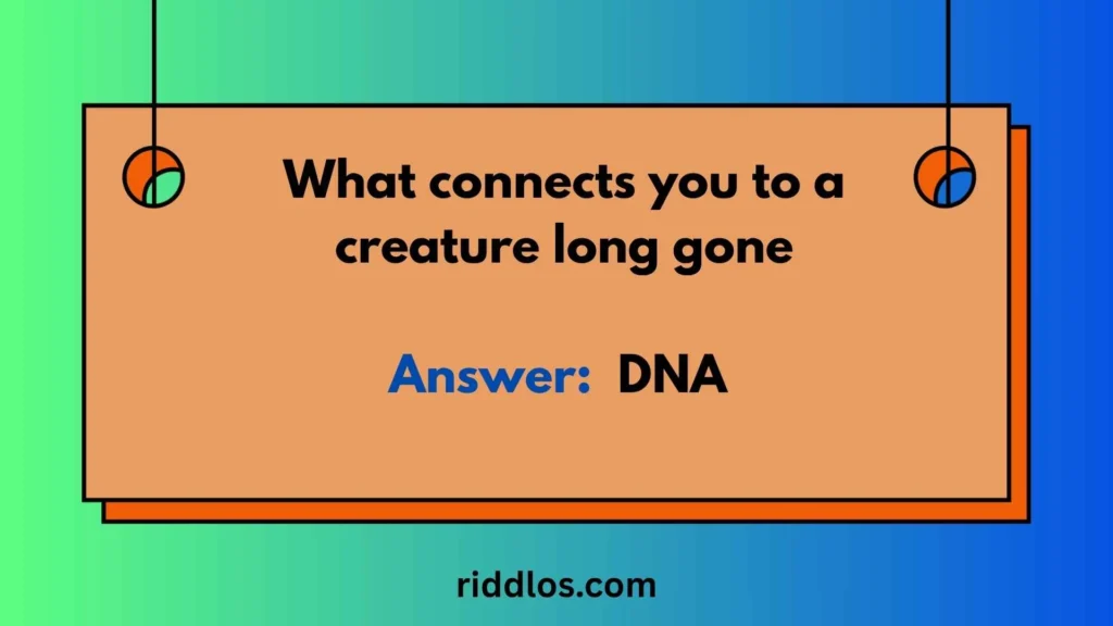Dinosaur Riddles with Answers for Adults