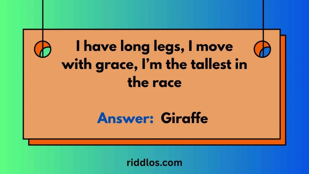 Easy Giraffe Riddles with Answers