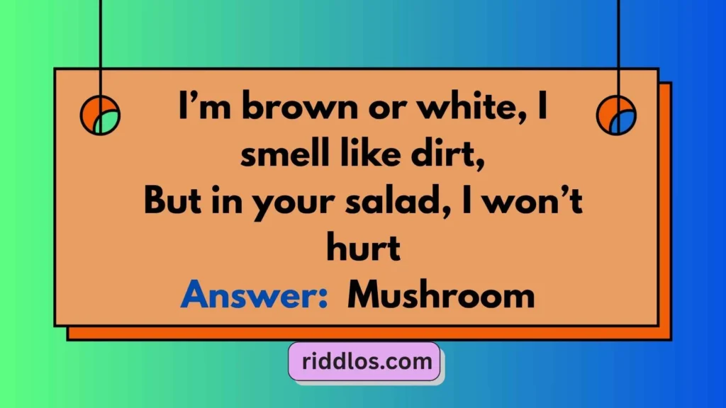 Easy Mushroom Riddles with Answers