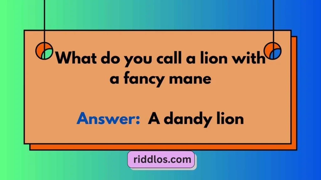 Funny Lion Riddles with Answers