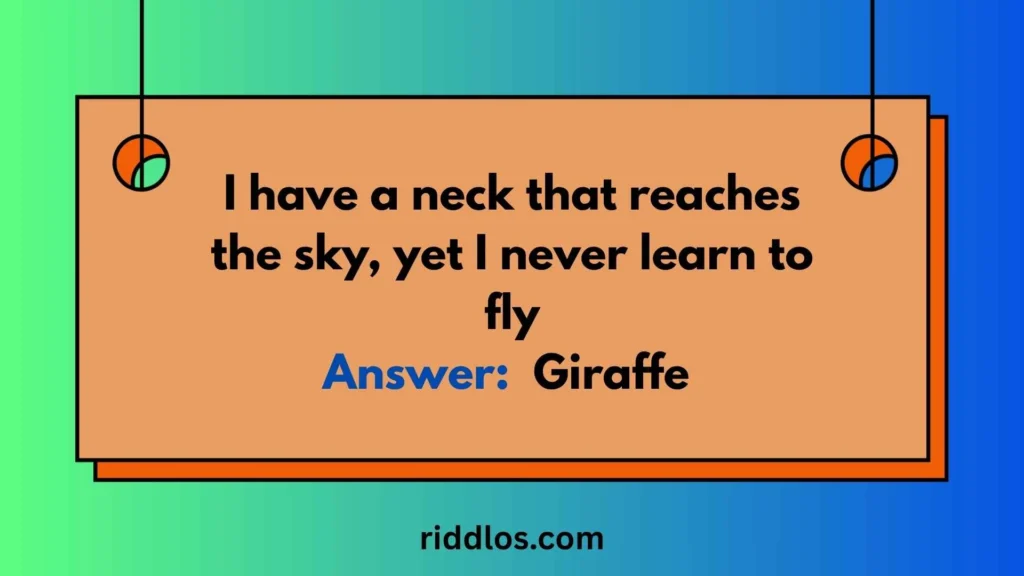 Giraffe Riddles with Answers for Kids