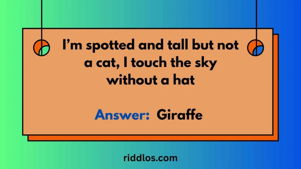 Hard Giraffe Riddles with Answers