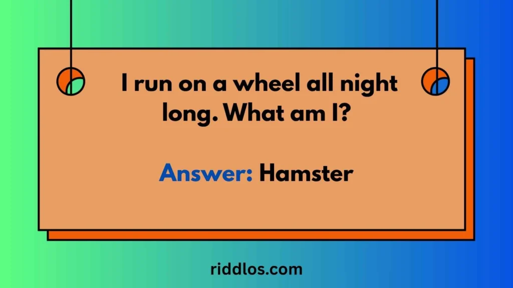 Pet Riddles with Answers
