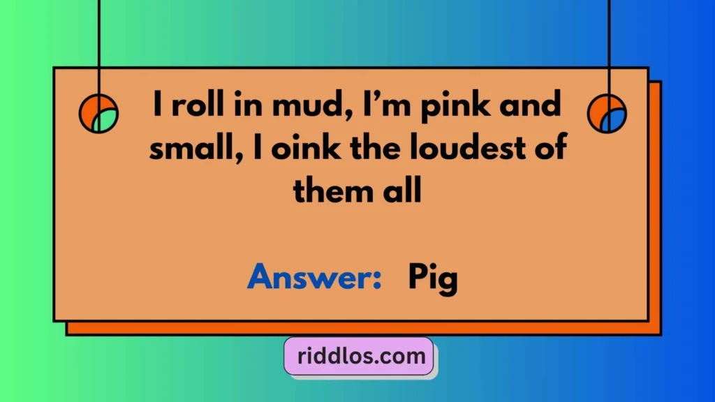 Pig Riddles for Kids