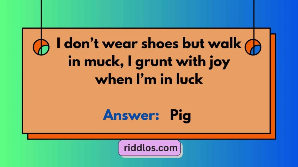 Pig Riddles with Answers
