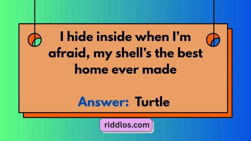 Riddles About Turtles for Kids