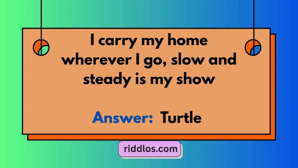 Riddles About Turtles with Answers