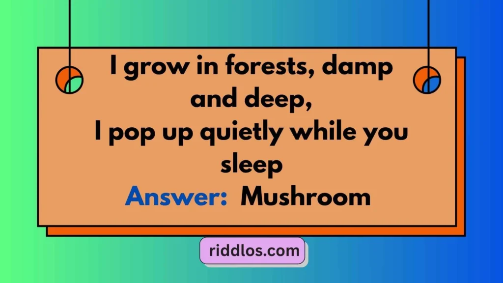 Simple Mushroom Riddles with Answers