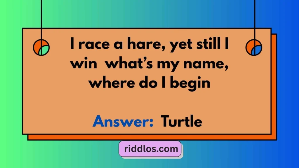 Tricky Riddles About Turtles