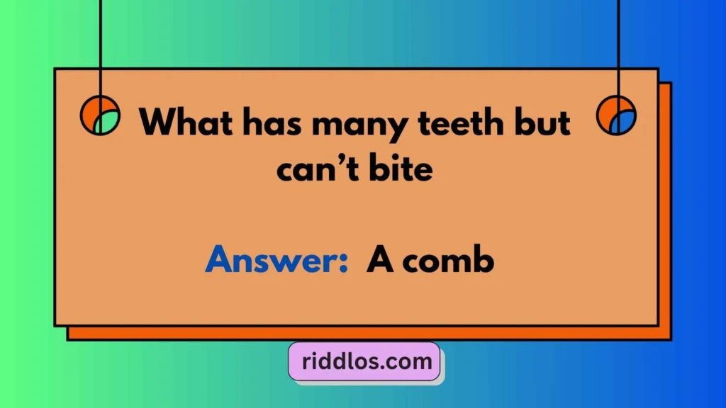 Tricky Riddles with Answers