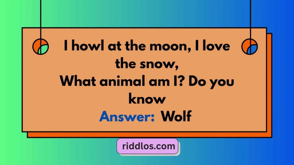 Easy Wolf Riddles with Answers