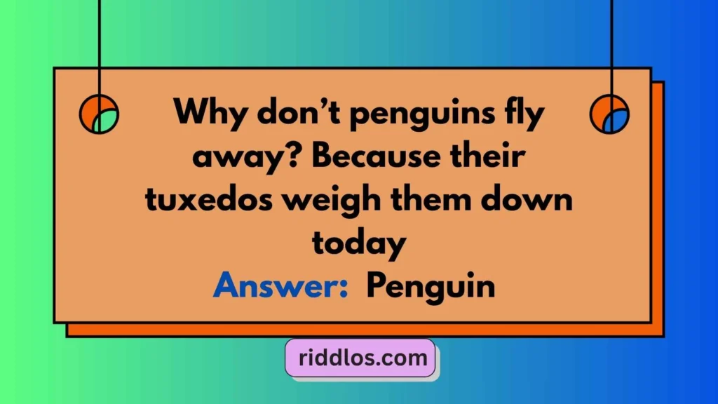 Funny Penguin Riddles for Kids