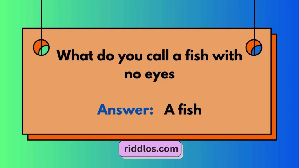 Funny Riddles About Fishing with Answers