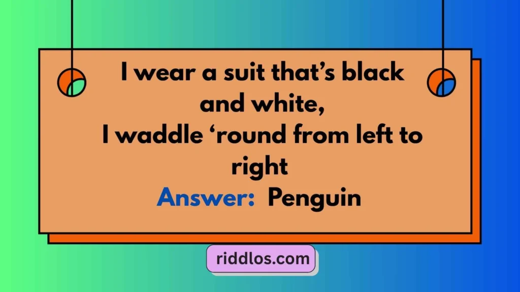 Riddles About Penguins with Answers