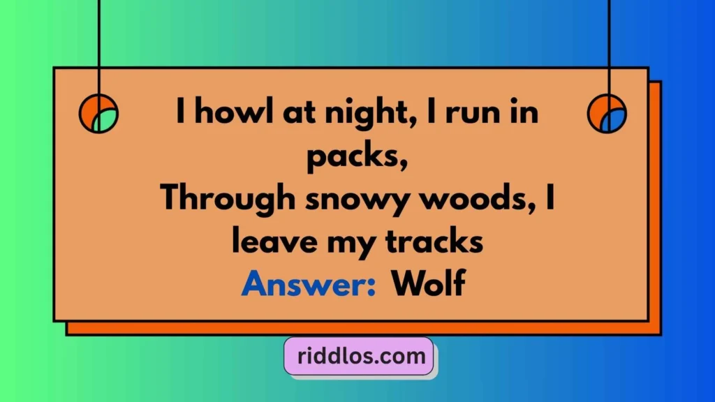 Wolf Riddles with Answers for Kids