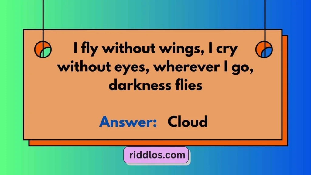Flying Riddles