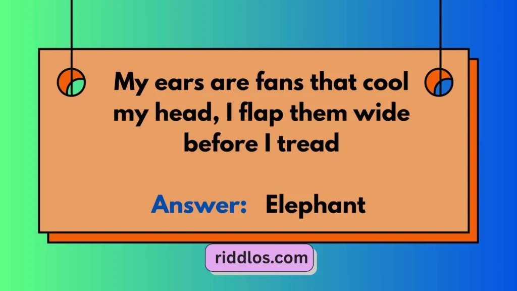 Tricky Riddles About Elephants