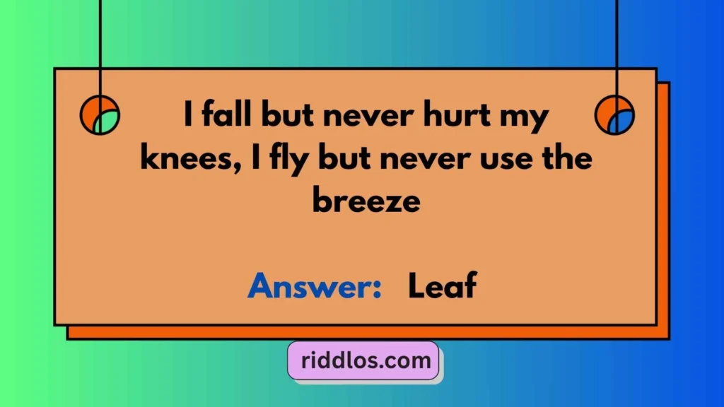 Riddles About Fall for Kids