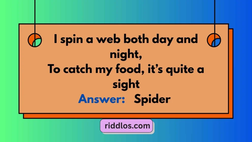 Riddles About Spiders for Kids