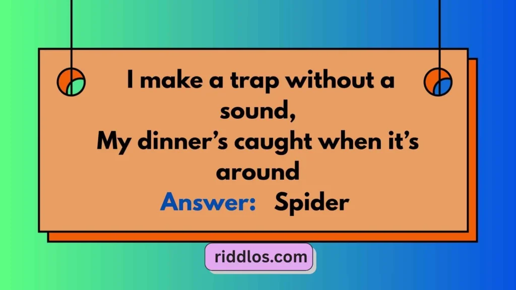 Riddles About Spiders with Answers