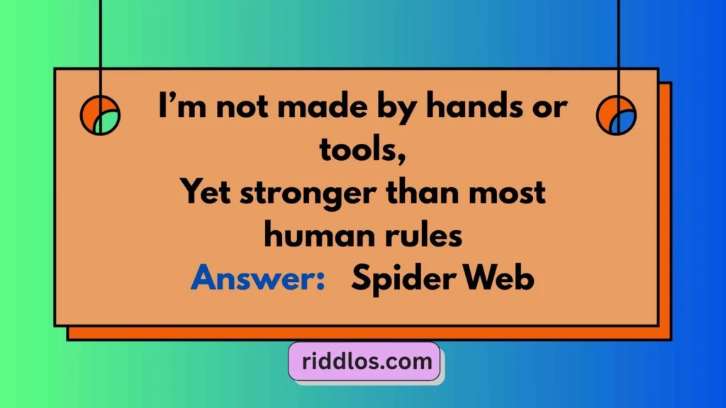Spider Web Riddle