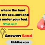 Beach Riddles