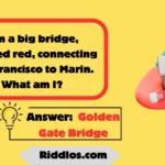 Best California Riddles