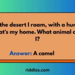 camel riddles with answers