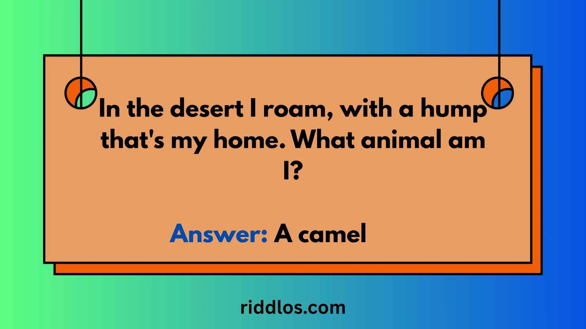 camel riddles with answers