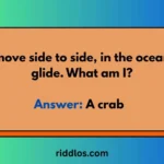 crab riddles