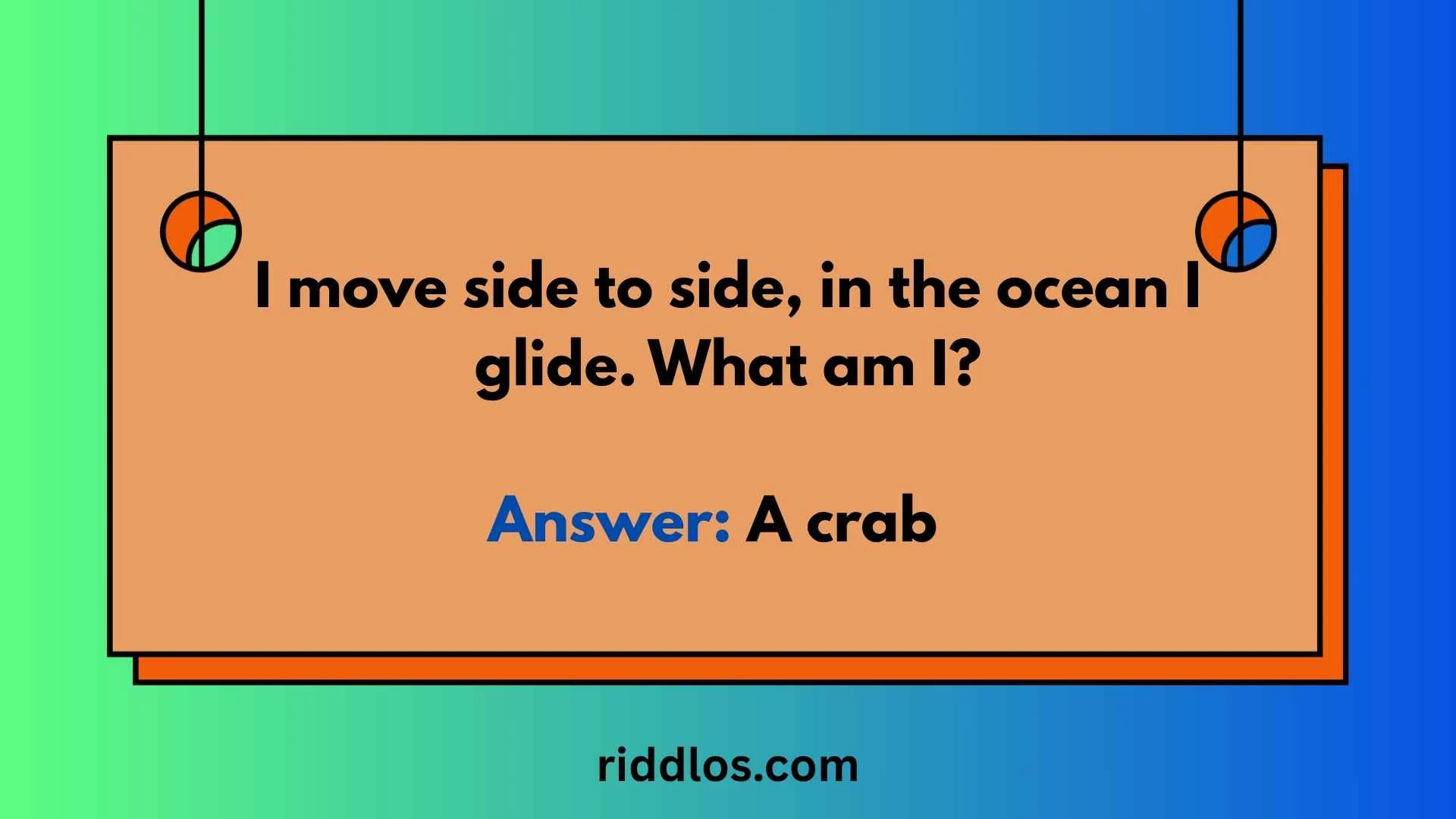 crab riddles