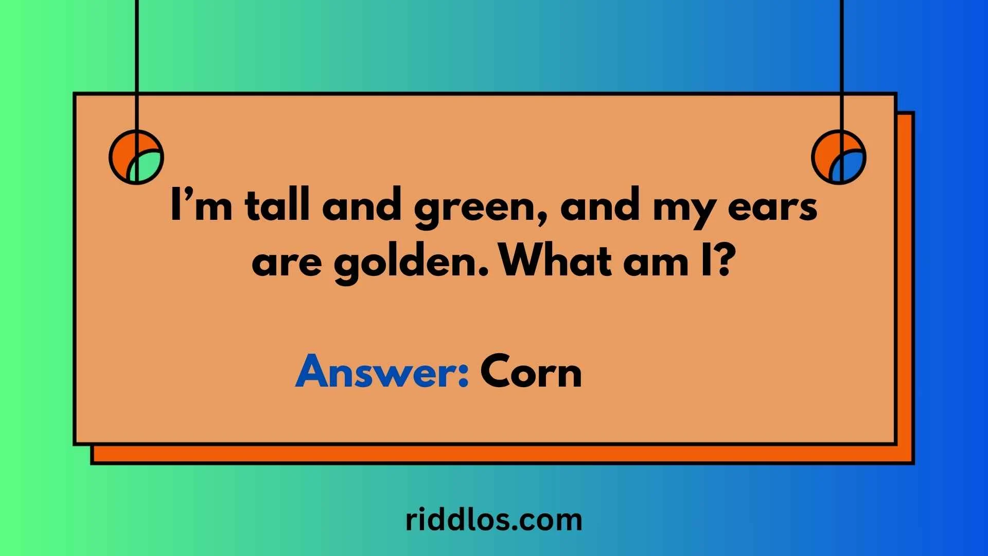 farm riddles with answers