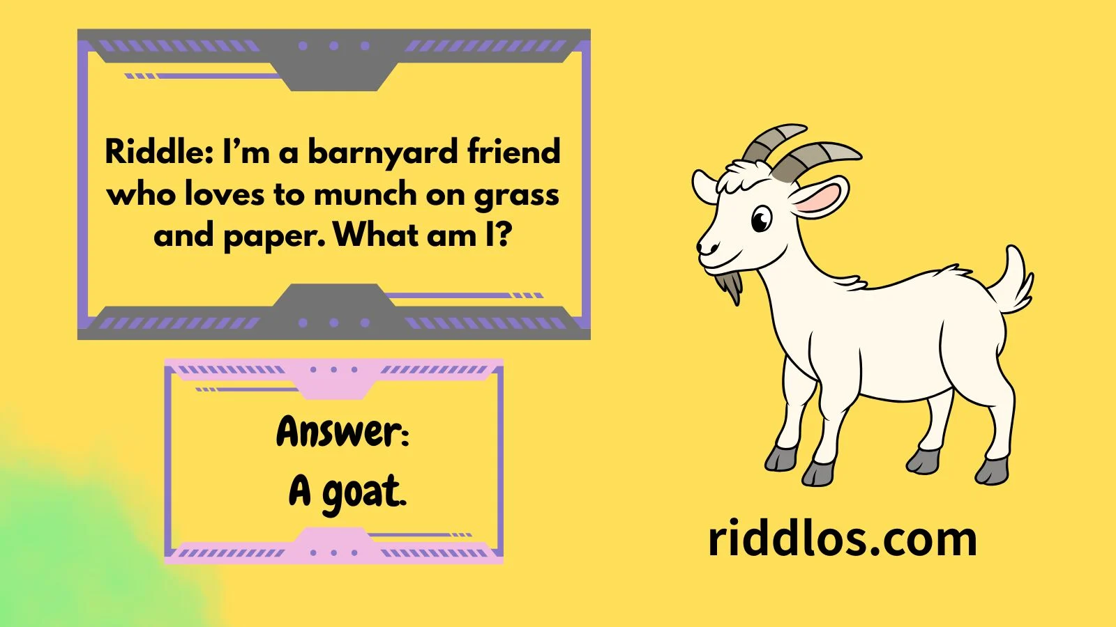 Goat Riddles