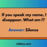 philosophical riddles