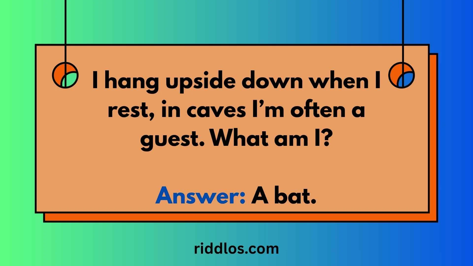 riddles about bats