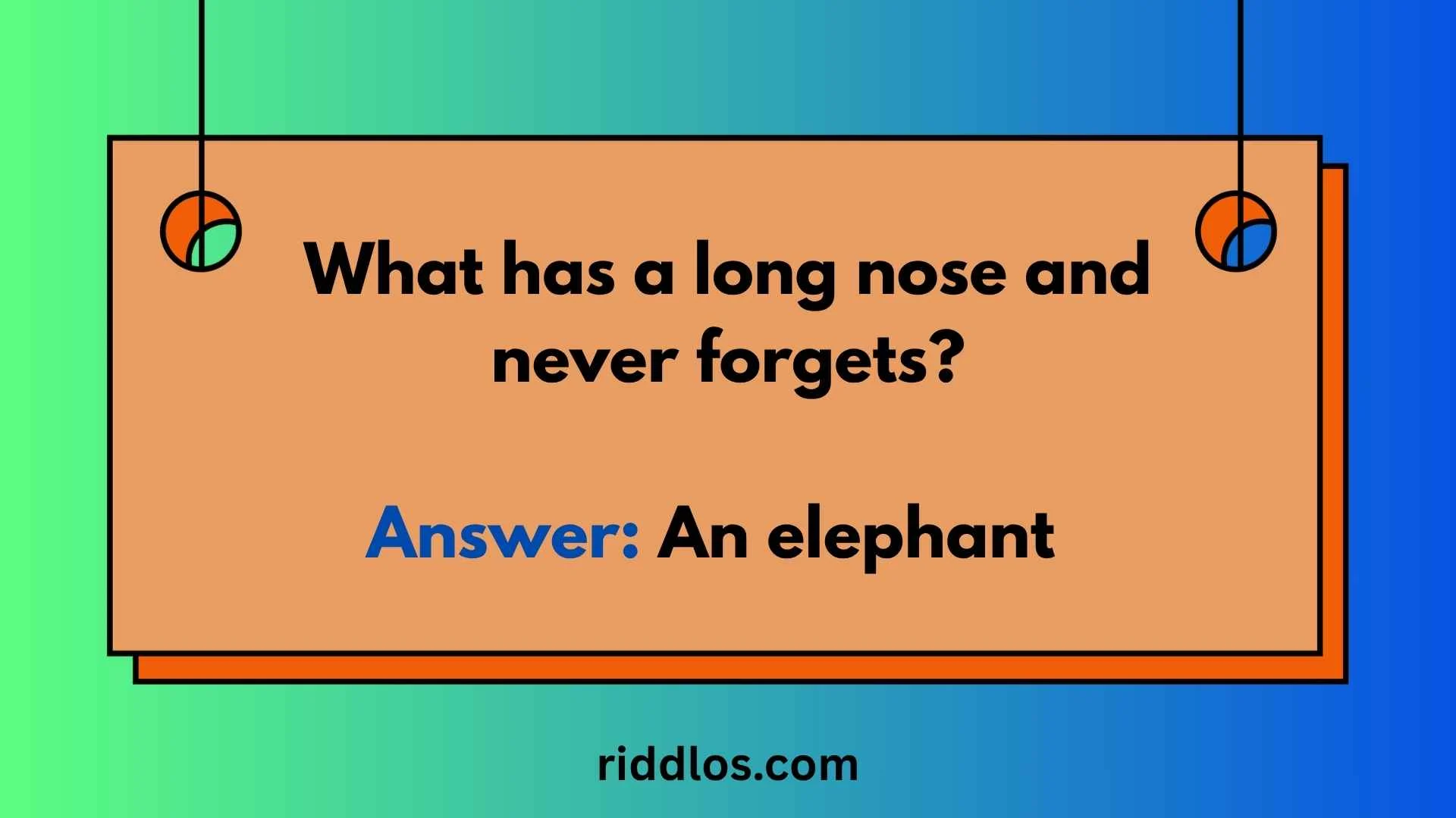 riddles about elephants