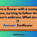 riddles about flowers