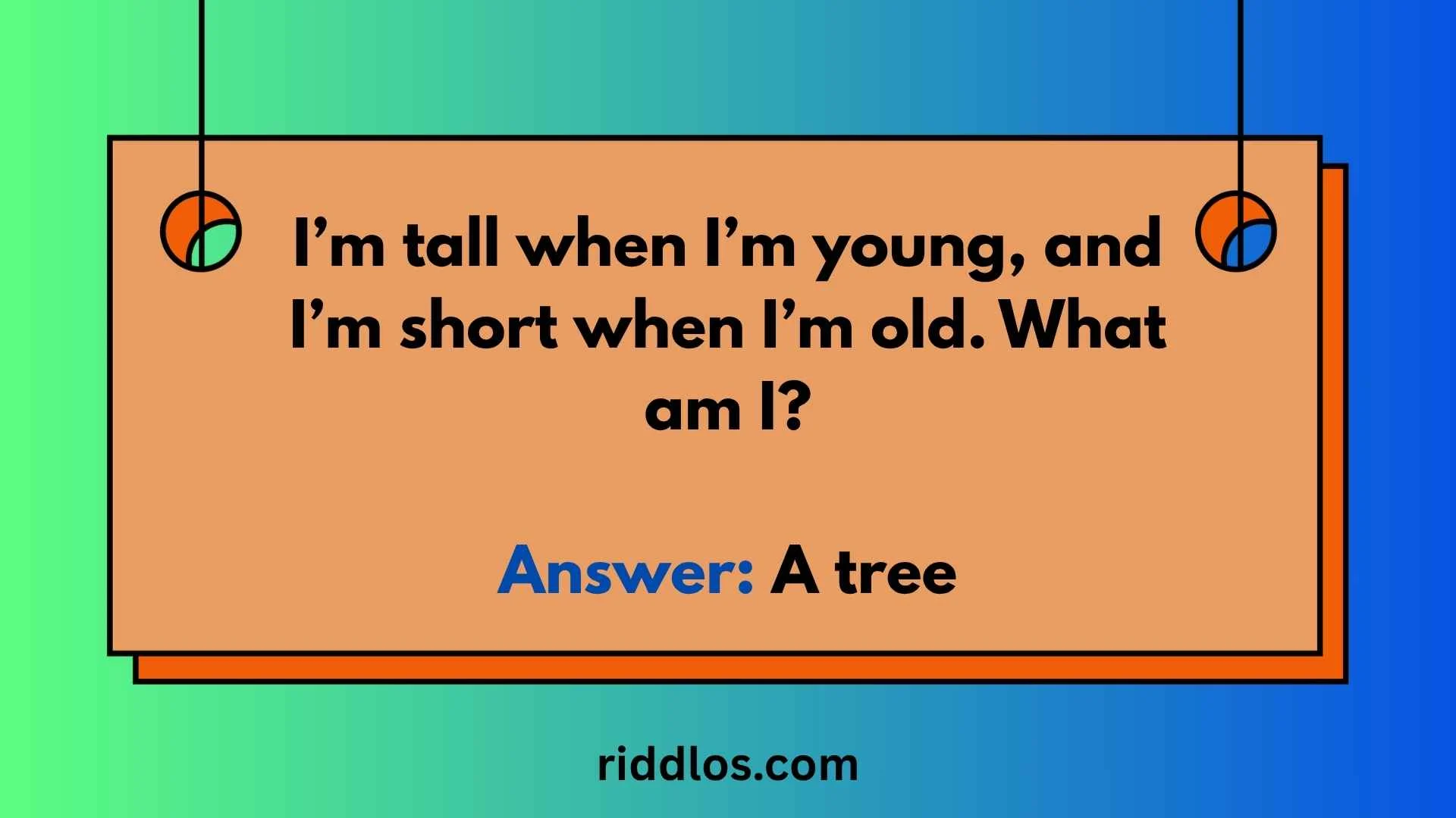 riddles about nature