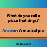 riddles about pizza