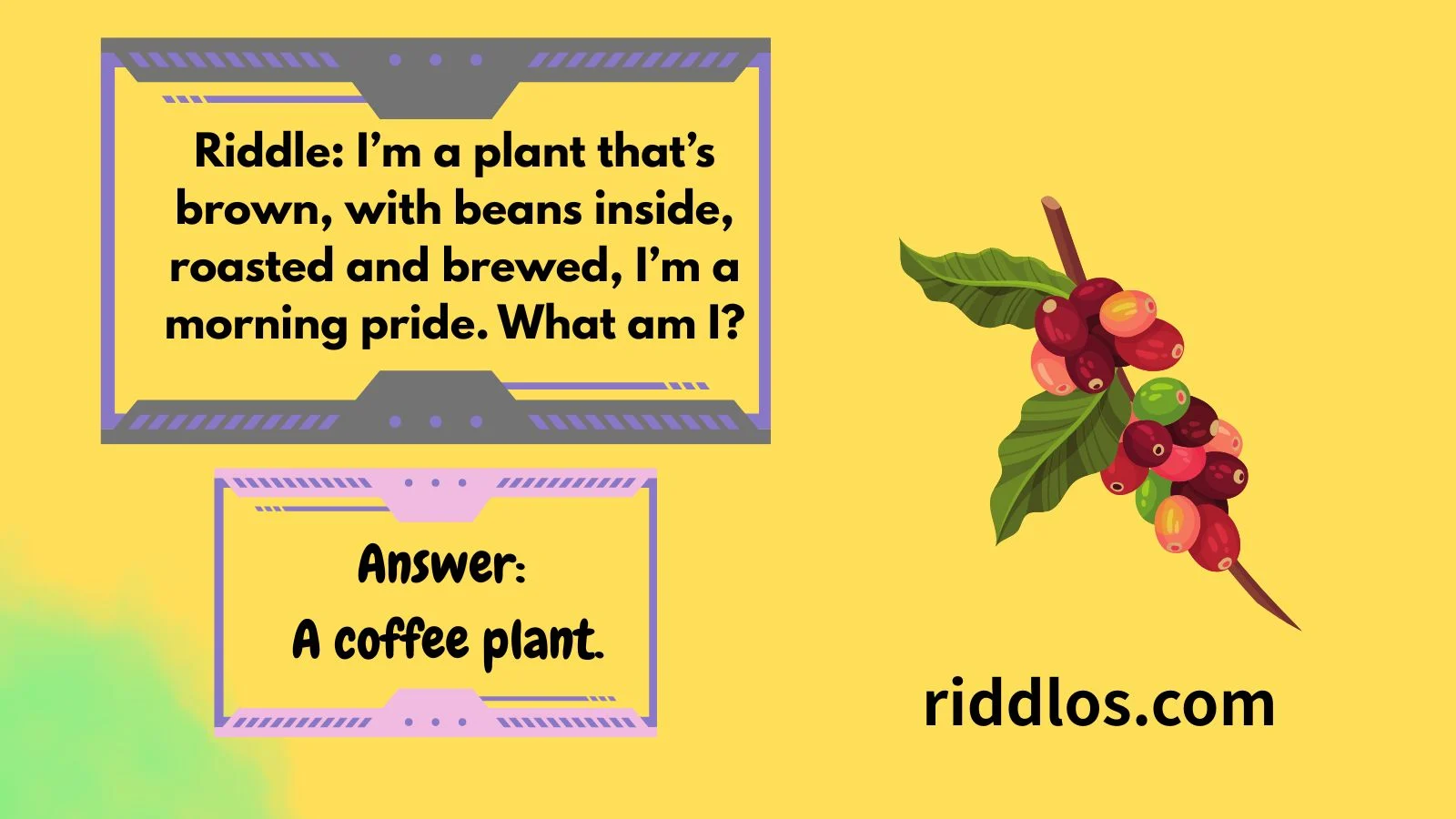 Riddles About Plants with Answers