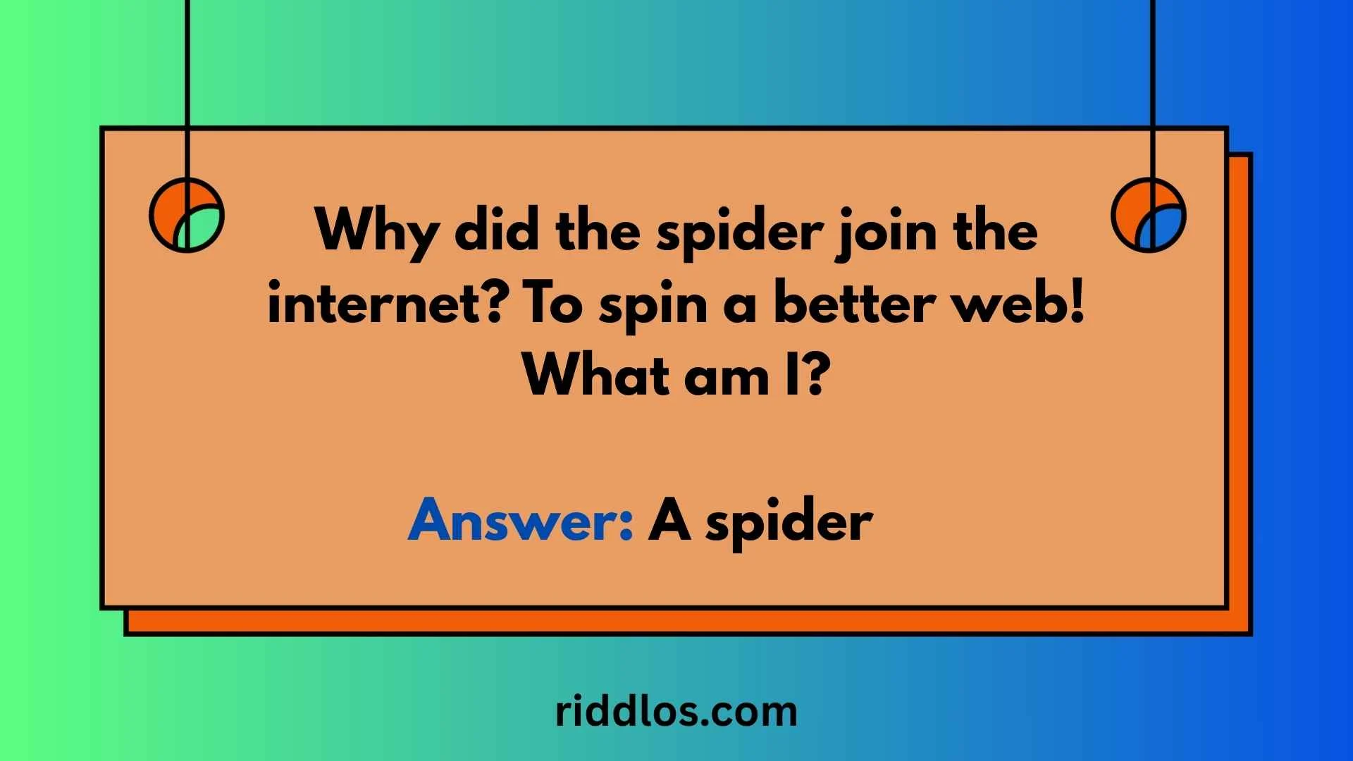riddles about spiders