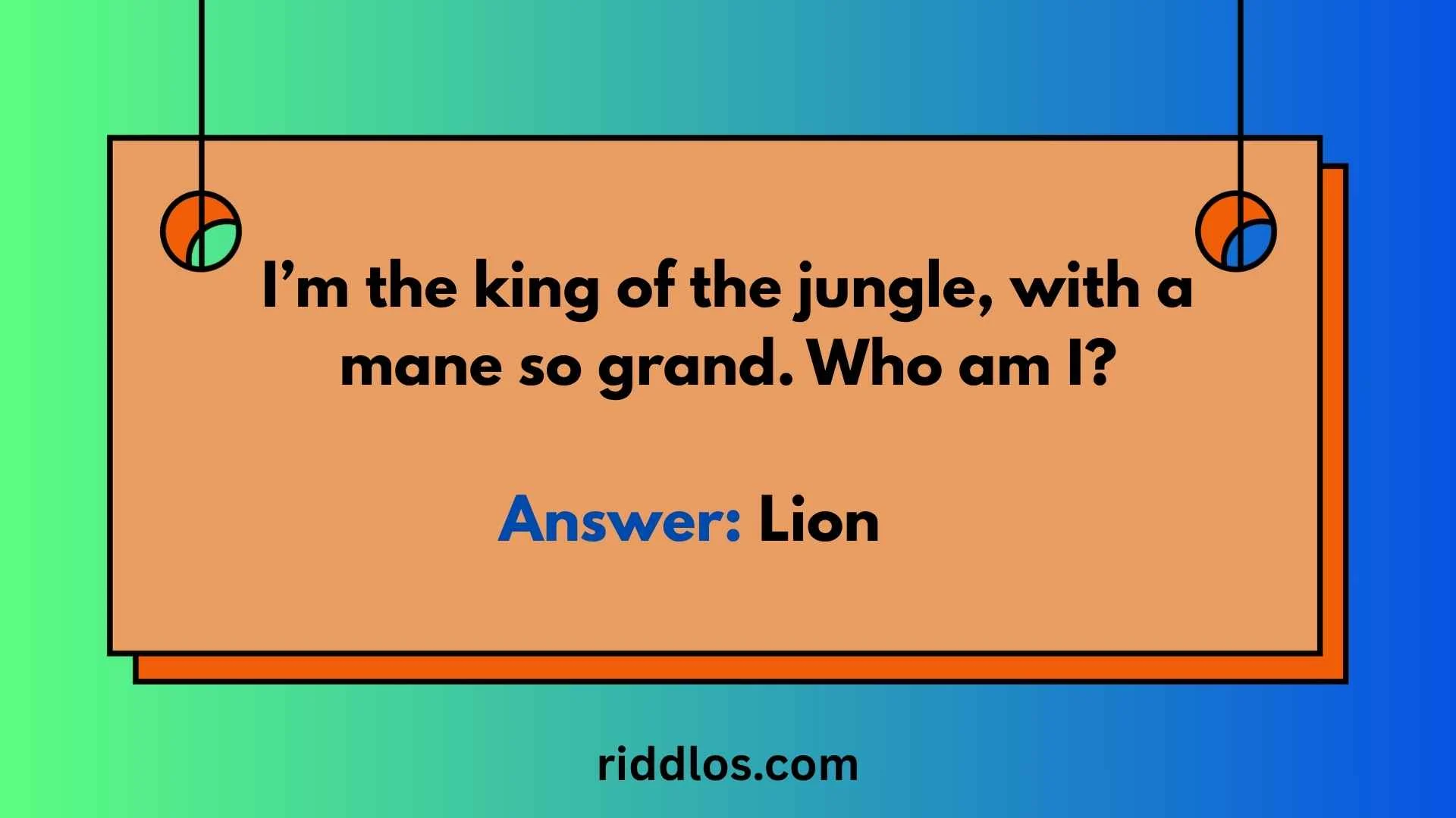 safari riddles with answers