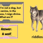 Wolf Riddles with Answers