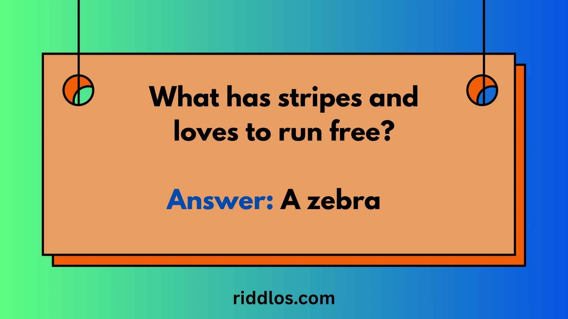 zebra riddles with answers