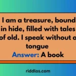 anglo saxon riddles