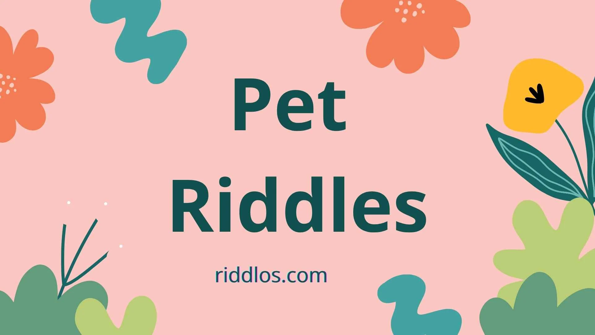 pet riddles