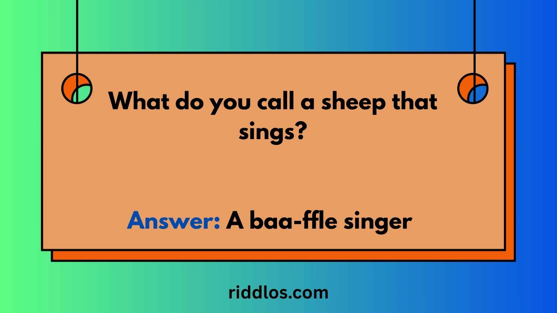 riddles about sheep