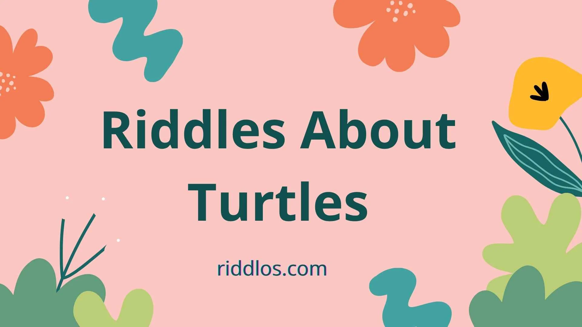 riddles about turtles