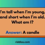 cryptic riddles
